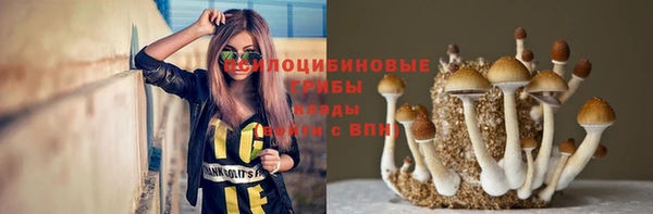 прущий лед Нефтекумск