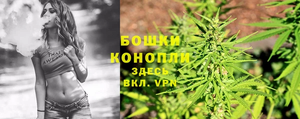 стафф Нефтегорск